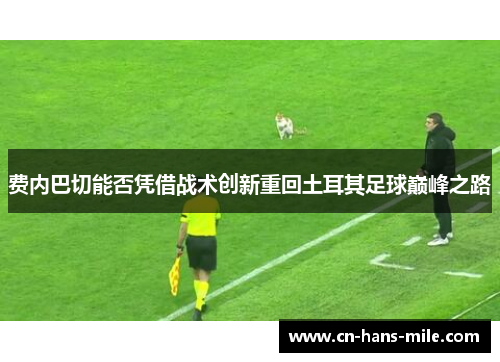 费内巴切能否凭借战术创新重回土耳其足球巅峰之路